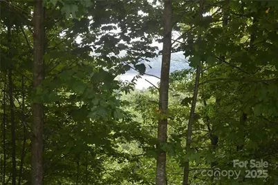 129 Captains Drive #221, Nebo, NC 28761 - Photo 1