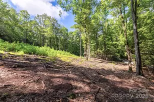 0 School House Rd, Pisgah Forest, NC 28768 - Photo 1