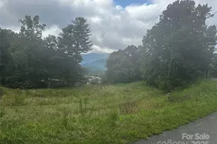 539 Saw Mill Hollow, Burnsville, NC 28714 - Photo 1