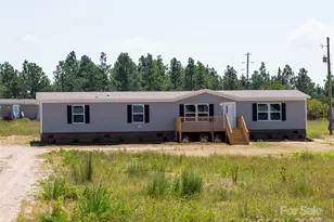 7771 Hwy 265 Hwy, Mount Croghan, SC 29727 - Photo 1