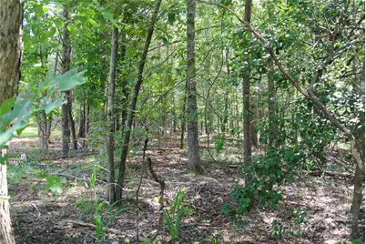 Lot 32 Whispering Pines Circle, Forest City, NC 28043 - Photo 1