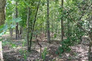 Lot 32 Whispering Pines Circle, Forest City, NC 28043 - Photo 1