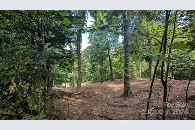 00 Apple Tree Court #2, Waynesville, NC 28786 - Photo 1