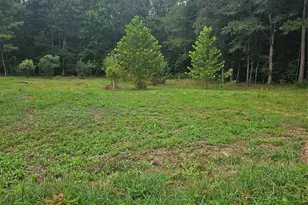 109 Falls St, Lawndale, NC 28090 - Photo 1