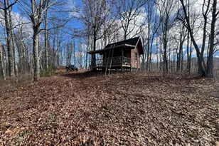 000 Wedgewood Cove Rd, Sylva, NC 28779 - Photo 1