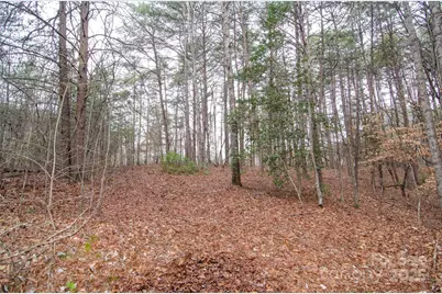 0 Rainbow Rapids Road, Rutherfordton, NC 28139 - Photo 1