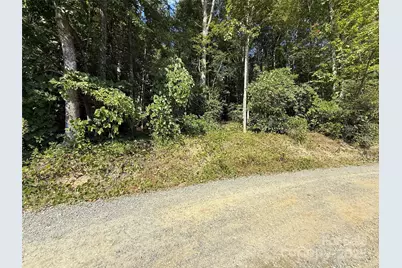 V/L Bulling Creek Road, Hendersonville, NC 28739 - Photo 1