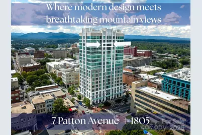 7 Patton Avenue #1805, Asheville, NC 28801 - Photo 1