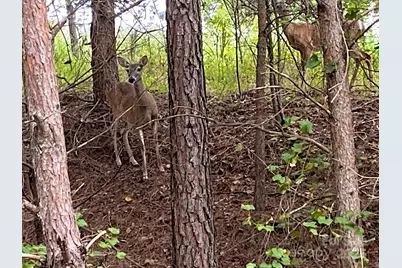 4 & 6 Waterford Court, Granite Falls, NC 28630 - Photo 1