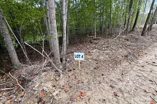 V/L W V Thompson Rd, Rutherfordton, NC 28139 - Photo 1