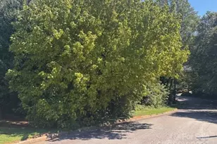 1541 & 1531 9th Street Ln NW, Hickory, NC 28601 - Photo 1
