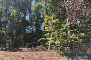 1550 & 1560 9th Street Ln NW, Hickory, NC 28601 - Photo 1
