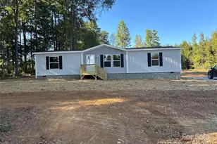 316 Middle Brook Dr, Rockwell, NC 28138 - Photo 1