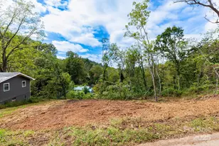 99999 Bassett Rd, Asheville, NC 28804 - Photo 1