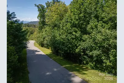 108 Bartrams Walk Drive, Asheville, NC 28804 - Photo 1