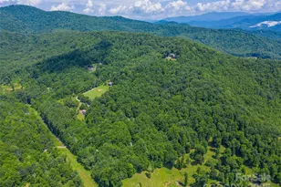 Tbd Hollydale Dr, Spruce Pine, NC 28777 - Photo 1