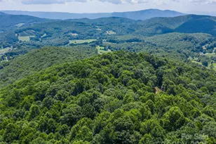 Tbd Hollydale Dr, Spruce Pine, NC 28777 - Photo 1