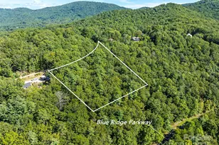 99999 Avondale Ridge Rd, Asheville, NC 28803 - Photo 1