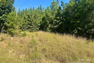 Vac Calvary Church Rd, Mount Gilead, NC 27306 - Photo 1