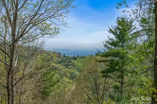 99999 Waxwing Way, Asheville, NC 28804 - Photo 1