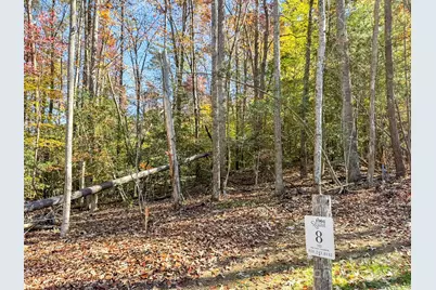 000 Nature Walk Lane #8, Hendersonville, NC 28739 - Photo 1