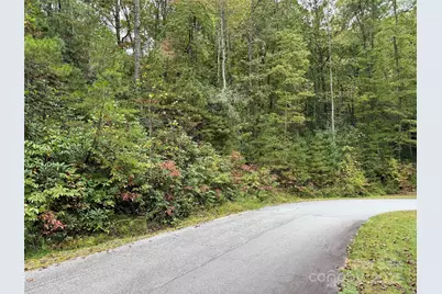 Tdb Fern Cove Lane #44, Pisgah Forest, NC 28768 - Photo 1