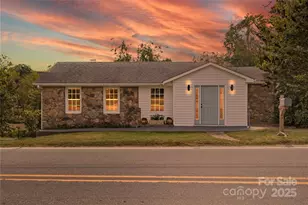 424 Deaverview Rd, Asheville, NC 28806 - Photo 1