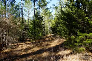 6+/- Ac Lot 2 Skyline Dr, Chester, SC 29706 - Photo 1