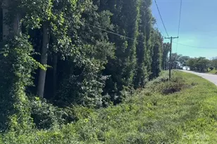 V/L Praley Street SW, Valdese, NC 28690 - Photo 1