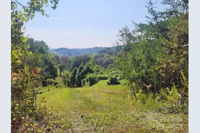 366 Cabin Hollow Drive, Marshall, NC 28753 - Photo 1