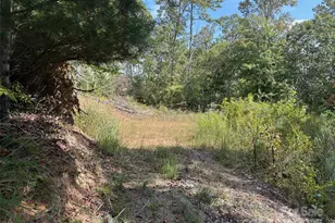 25 W Keesler St, Black Mountain, NC 28711 - Photo 1