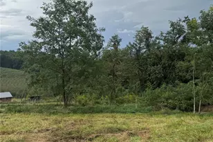 000 Bobs Rd, Hendersonville, NC 28792 - Photo 1