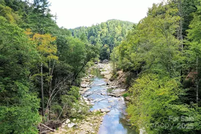 999 Hardison Falls Trail, Bat Cave, NC 28710 - Photo 1