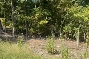 0 McGill Rd, Smyrna, SC 29743 - Photo 1