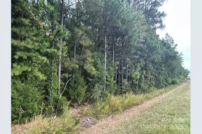 4.3 Ac Lancaster Hwy Highway, Chester, SC 29706 - Photo 1