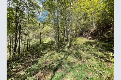 00 Poplar Holler Road, Waynesville, NC 28786 - Photo 1