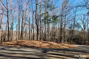 Lot 218 Bolt Rd, Lake Lure, NC 28746 - Photo 1