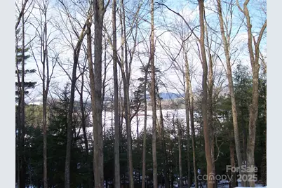 0 Tatham Road, Hendersonville, NC 28792 - Photo 1