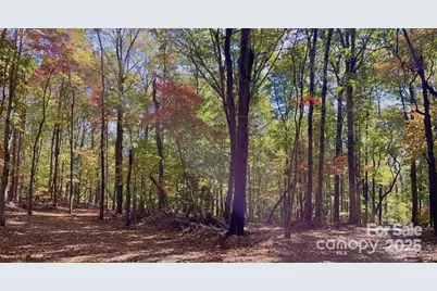 Lot 6 Flint Ridge Road #6, Albemarle, NC 28001 - Photo 1