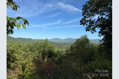 0 Woodgate Drive #46, Bostic, NC 28018 - Photo 1