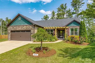315 Wild Ginger Ct, Weaverville, NC 28787 - Photo 1
