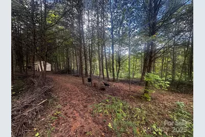 0 Freemantown Road, Lake Lure, NC 28746 - Photo 1