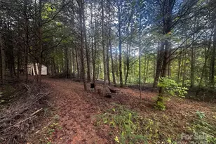 1485 Freemantown Rd, Lake Lure, NC 28746 - Photo 1