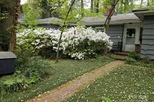 133 Wonderwood Dr, Charlotte, NC 28211 - Photo 1