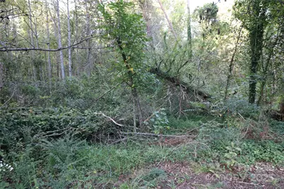 0 Carver Lane, Forest City, NC 28043 - Photo 1