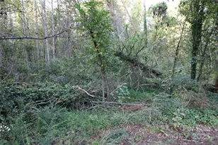 0 Carver Ln, Forest City, NC 28043 - Photo 1