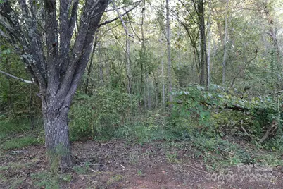 0 Carver Lane, Forest City, NC 28043 - Photo 1