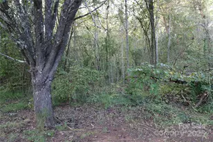 0 Carver Ln, Forest City, NC 28043 - Photo 1