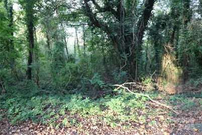 0 Carver Lane, Forest City, NC 28043 - Photo 1