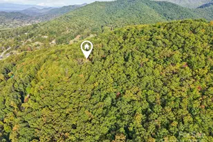 99999 Davis Creek Rd, Candler, NC 28715 - Photo 1